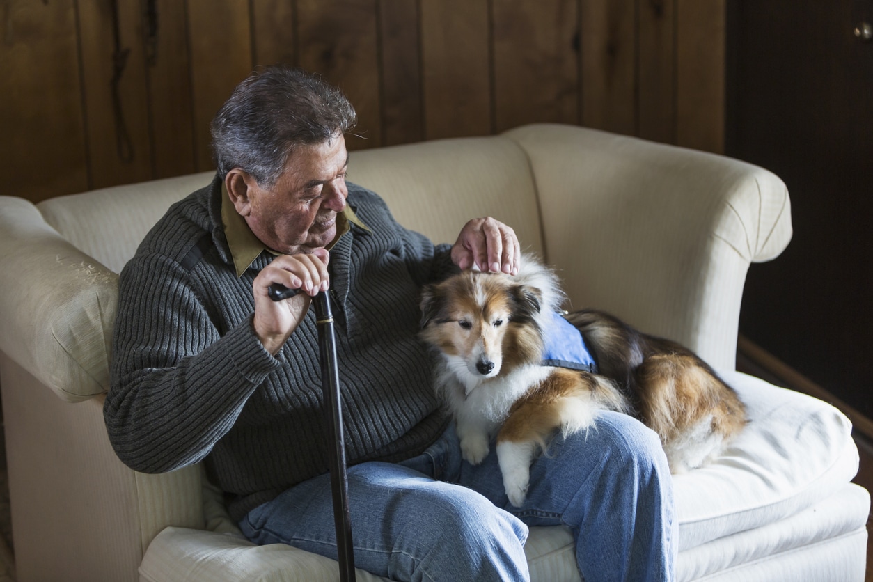 senior man sitting with service dog