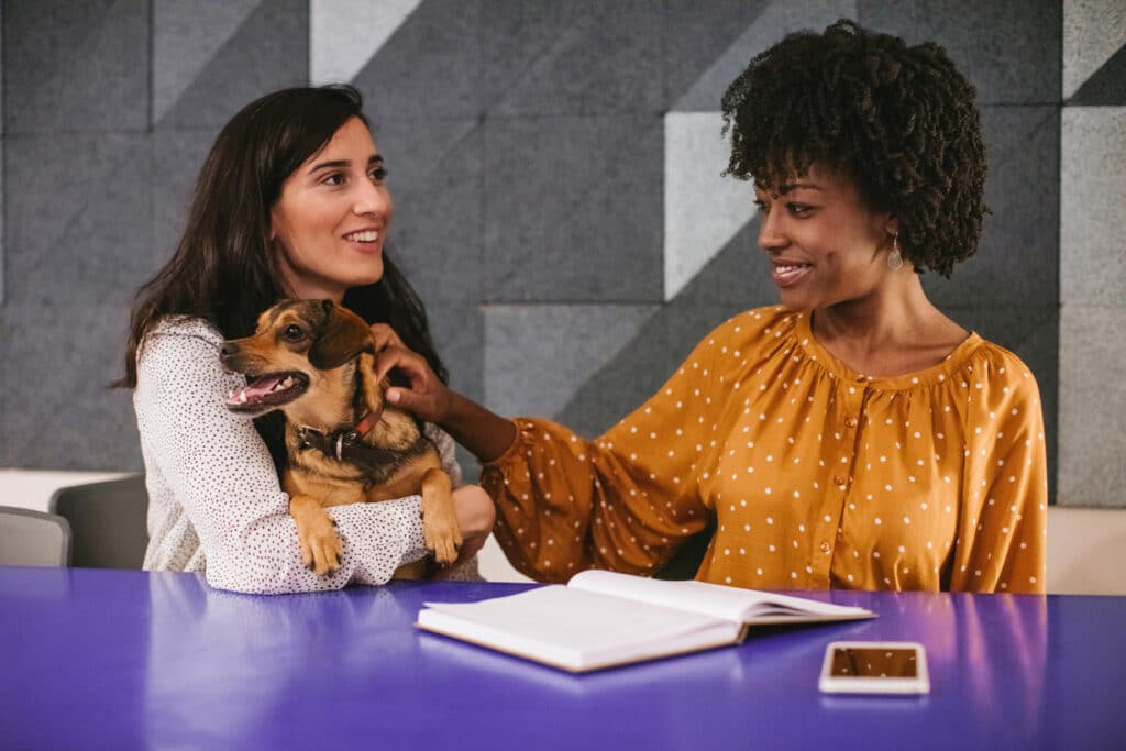 Two women in a meeting. One woman is holding her dog